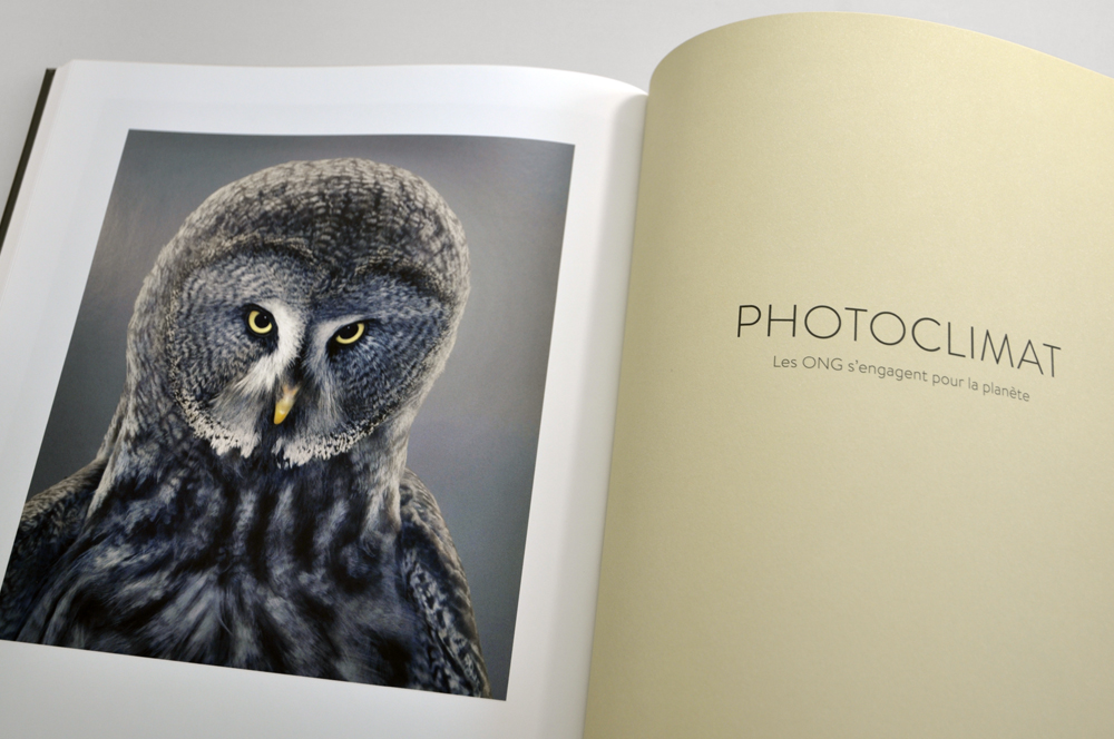 catalogue biennale photoclimat